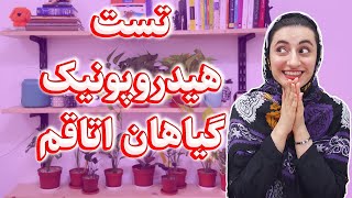 چی شد گیاهان اتاقم رو هیدرو کردم | نحوه هیدروپونیک کردن گیاهان آپارتمانی | پرورش گل و گیاه بدون خاک