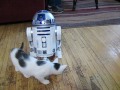 2002 r2d2 droid robot voice command