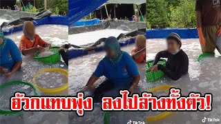 โพสต์คลิป เผยวิธีล้างแมงกระพรุน