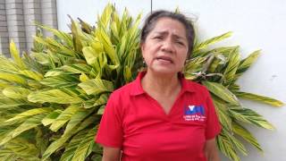 Hidalgo Co. Colonia residents & street lights