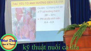 Tập huấn nuôi cá dĩa phần 1 - Technical training discus fish farming. Part 1