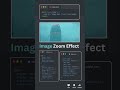 Image Zoom Effect #webdesign #webdevelopment #javascript #programming #html5 #frontend #css3 #coding