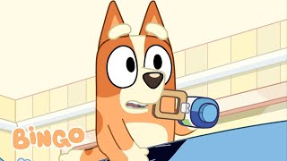 Big Bingo Adventure! ✨ 🧡 | Best of Bluey and Bingo | Bingo - Official Channel