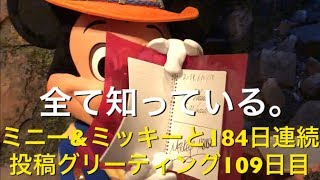 ミニー\u0026ミッキーと184日連続投稿グリーティング109日目〜全て知っている。〜 my Disney tour day 109 I meet minnie mouse \u0026 mickey mouse