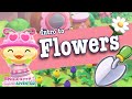 Flowers 101 : Intro to Flowers & How they Work | Hello Kitty Island Adventure Beginner Flowers Guide