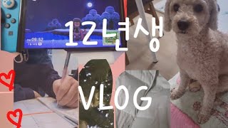 졸업한 12년생 vlog