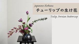 【チューリップの生け花】 初心者でもコツが分かればとっても簡単！ 生け方の基本からアレンジまでサクッと紹介。Japanese ikebana lesson for beginners