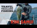 Spearfishing in Thailand |  Koh Samui Things to Do