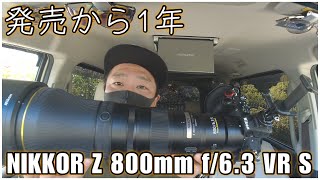 【雑談】発売から1年！やっぱり最高のレンズ - NIKKOR Z 800mm f/6.3 VR S -