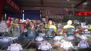 Chinese city sets new world record with the largest seafood display