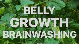 Belly Growth Brainwashing