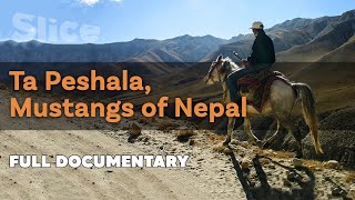 Ta Peshala, Mustangs of Nepal | SLICE | Full documentary