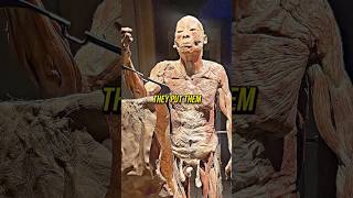 Joe Rogan Exposes Body Exhibits