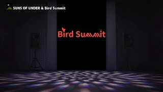 Melodic Techno Mix | Bird Summit - 2024 8/30