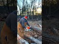 first time running the 500i stihl 500i firewood stihl500i farmlife homestead chainsaw