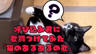 呼び込み君に歌詞つけてみた｢猫のあるあるの歌｣