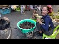 the best cambodian food market scene and massive food tour freshly made delicious food