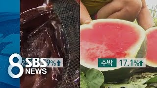 '고기·과일' 등 생활 물가 고공행진 / SBS