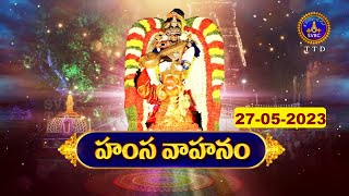 Sri Govindarajaswami Brahmotsavalu || Hamsa Vahanam || Tirupathi || 27-05-2023 || SVBCTTD