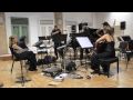 bergersen quartet swarms clip 2