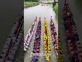 unleashing the thrills of the dragon boat festival