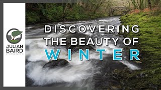 Discovering Beauty in a Winter Woodland | Landscape Photography  + Using a Circular Polariser