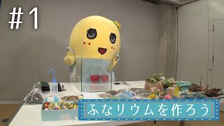 【新たな趣味】ふなリウムを作ろう #1【模索中】