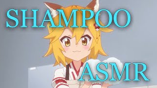 Shampoo Sounds 【Yu's ASMR】