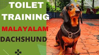 TOILET TRAINING MALAYALAM.HOW TO TOILET TRAIN YOUR DOG