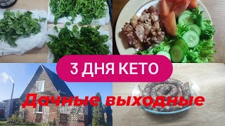 Ещё 3 дня КЕТО.Дачные выходные !