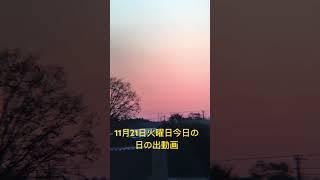 2023年11月21日火曜日今日の日の出は6時25分天気は晴れ☀️最高気温は17度最低気温は4度予報⁉️ひだまりの温かい日中になりそうです。❣️