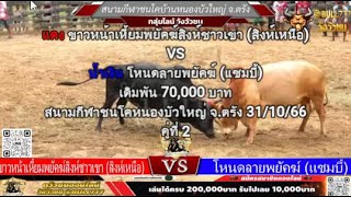 คู่ที่ 2 สนามชนโคบ้านหนองบัวใหญ่ จ.ตรัง 31/10/66 🔴#ขาวหน้าเหี้ยมพยัคฆ์สิงห์ชาวเขา vs 🔵#โหนดลายพยัคฆ์