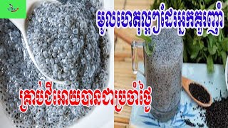 ស្មានមិនដល់សោះថា គ្រាប់ជី អាចIt is unthinkable that fertilizers can provide so many health benefits.