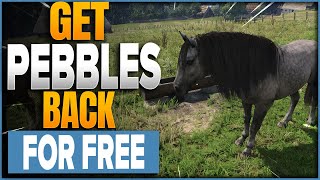 How To Get Pebbles Back For FREE In Kingdom Come Deliverance 2