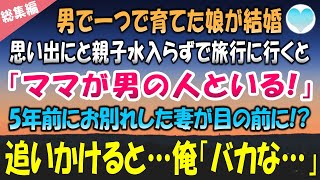 【感動する話】男手一つで育てた娘が嫁に行く。独身最後の思い出に娘と出かけた旅行先で「ママが男の人と歩いてる⁉」5年前にお別れした妻に瓜二つの女性を見つけ追いかけると「馬鹿な…」【泣ける話】朗読　総集編