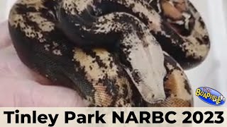 March 2023 Tinley NARBC Snake Party!