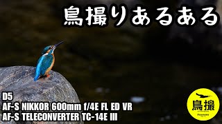 【野鳥撮影】不発な鳥撮りの楽しみ方、鳥運の明暗は30分で変わる。D5×ロクヨン