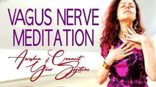 Vagus Nerve Meditation - ⚡️A Powerful Journey thru your Body to Unite, Heal \u0026 Tone your Systems⚡️