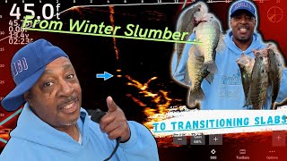 From Winter Slumber to Spring Transitioning Slabs