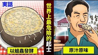 【日配】用蛆蟲發酵的起士⋯世上最危險卻又美味無窮【動態漫畫】【人類毛病大學】