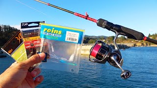 A beginner at horse mackerel fishing tries to catch horse mackerel in the daytime. The deciding f...