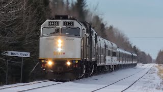 VIA Rail 14 Cruises on the Newcastle Sub at 60 MPH!