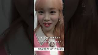 When Chaewon and Wonyoung trolled Yujin 김채원 チェウォン