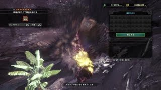 MHW 歷戰王滅盡龍 雙刀solo 9分44秒