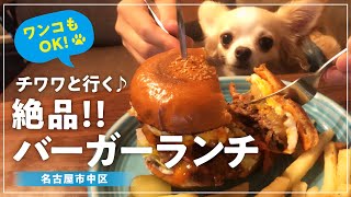 【犬とおでかけ】愛犬チワワと行く♪ ボリューム満点ハンバーガー🐕テラスでランチ(名古屋市中区)