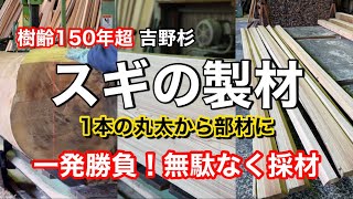 Japanese cedar sawing/masamebiki (quarter-sawn) of fine Yoshino cedar trees over 150 years old!
