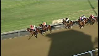 20190501 Greyville express clip Race 6 won by HEART OF A LEGEND