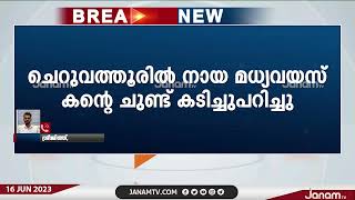 കാസർകോട് ചെറുവത്തൂരിൽ വീണ്ടും തെരുവുനായ ആക്രമണം