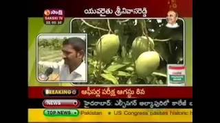 Watermelon Farming  in Nizamabad - by Srinivas Reddy