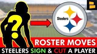 🚨NEWS ALERT: Pittsburgh Steelers Sign ANOTHER Player In NFL Free Agency + Waive A Wide Receiver